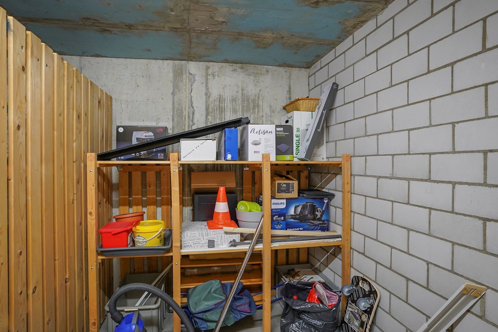 Wohnung - Kauf - Galmiz, Freiburg - DSC06454.jpg - 119621006-330