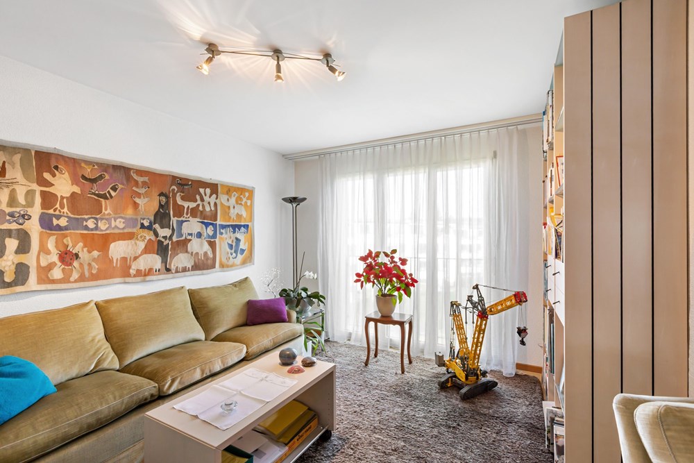 Wohnung - Kauf - Seen, Zürich - WhgWintiSeen16.jpg - 110161079-51