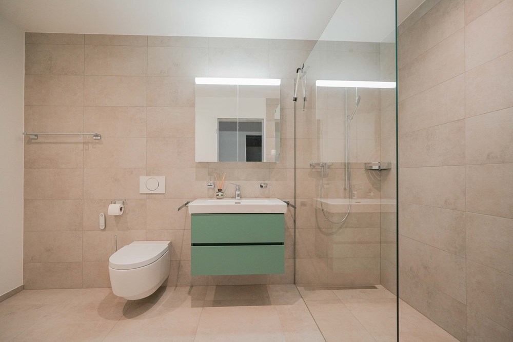 Wohnung - Vermietung - Kaisten, Aargau - kaisten-bruel-wohnung-aussen-zumieten-remaxfrick (26 von 26).jpg - 110091005-1539