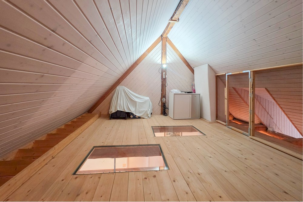 Einfamilienhaus - Kauf - Schinznach Dorf, Aargau - 20251029_155611.JPG - 119241016-289