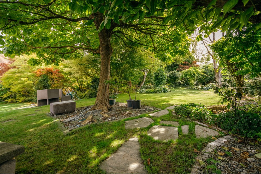 Residential - House - Eggenwil, Aargau - CH - HOFORSTRASSE-35.jpg - 118921009-359