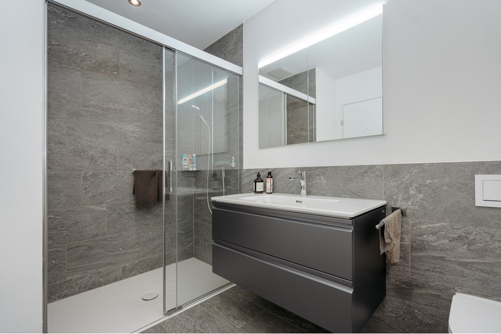 Residential - Condo/Apartment - Meisterschwanden, Aargau - CH - AIV00525.jpg - 118921016-184