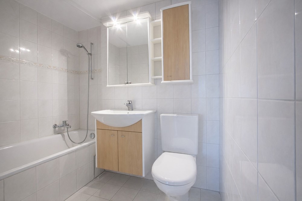 Wohnung - Kauf - Pratteln, Basel-Landschaft - 1 wc finish.jpeg - 111231001-5