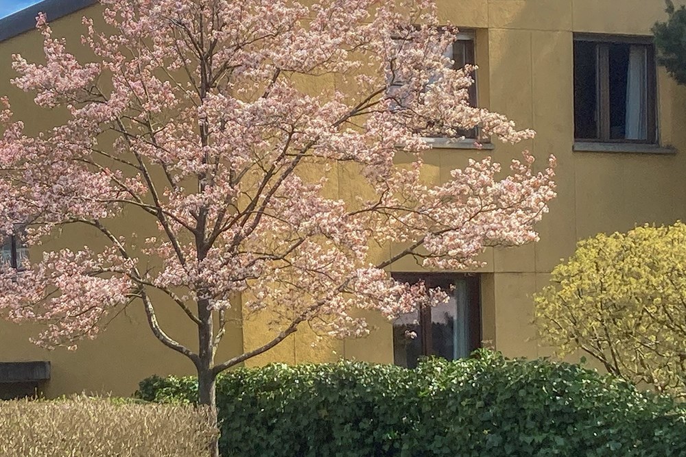 Einfamilienhaus - Kauf - Zollikofen, Bern - IMG_4803.jpg - 119621006-329