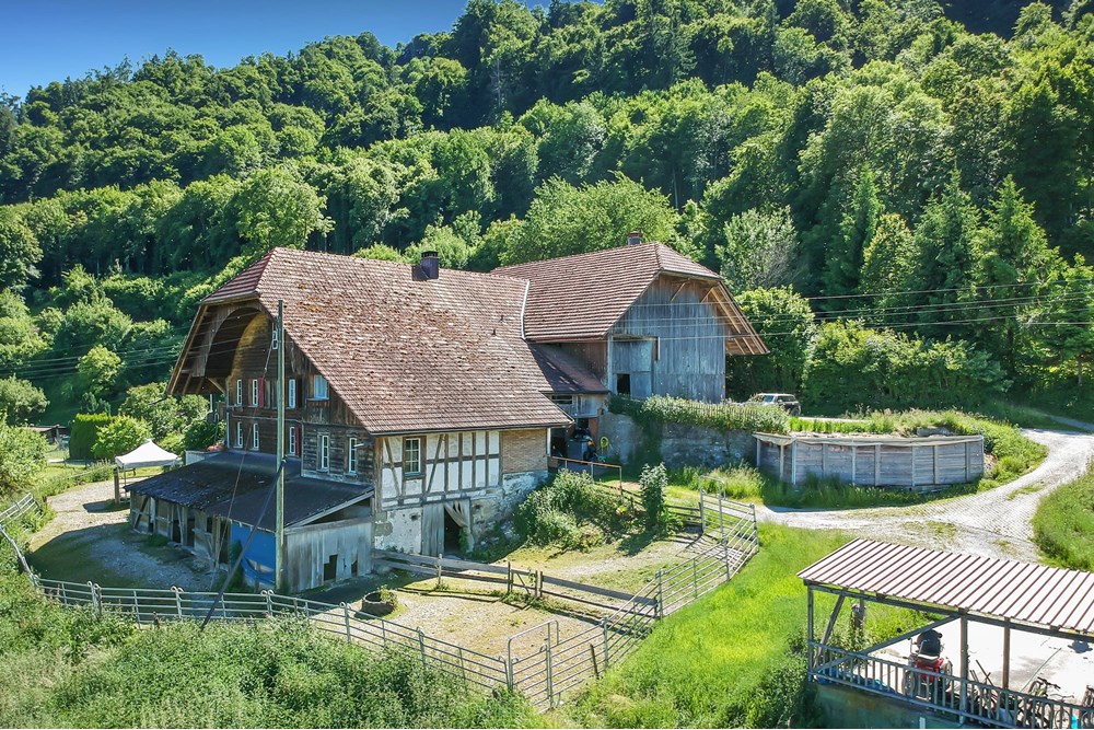 Bauernhof - Kauf - Belp, Bern - Oberaar-34.jpg - 119241015-253
