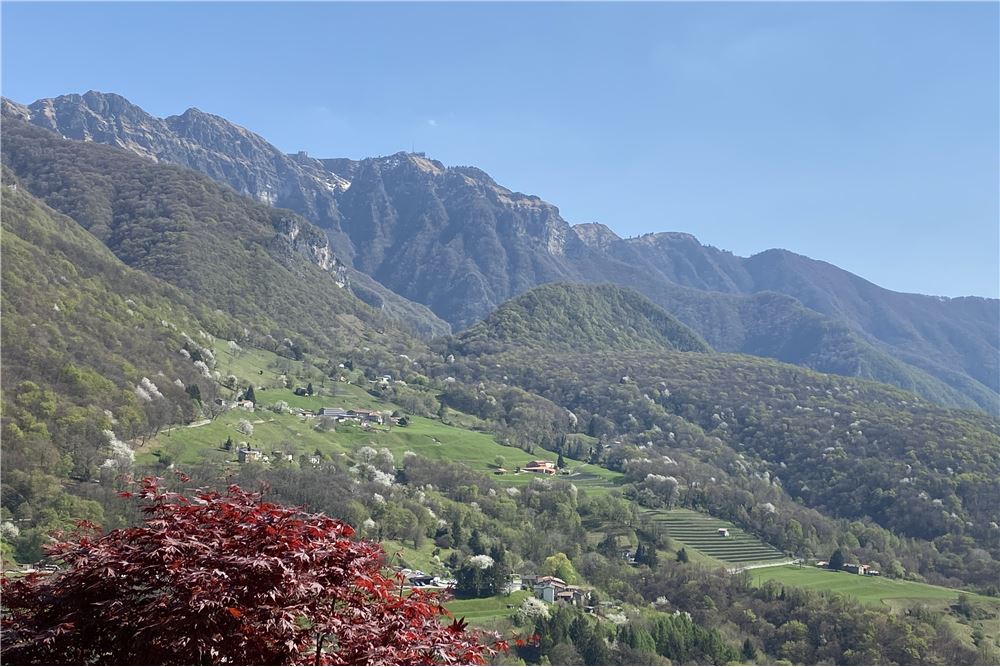 Villa - Kauf - Lugano, Tessin - 35 - 119921001-373