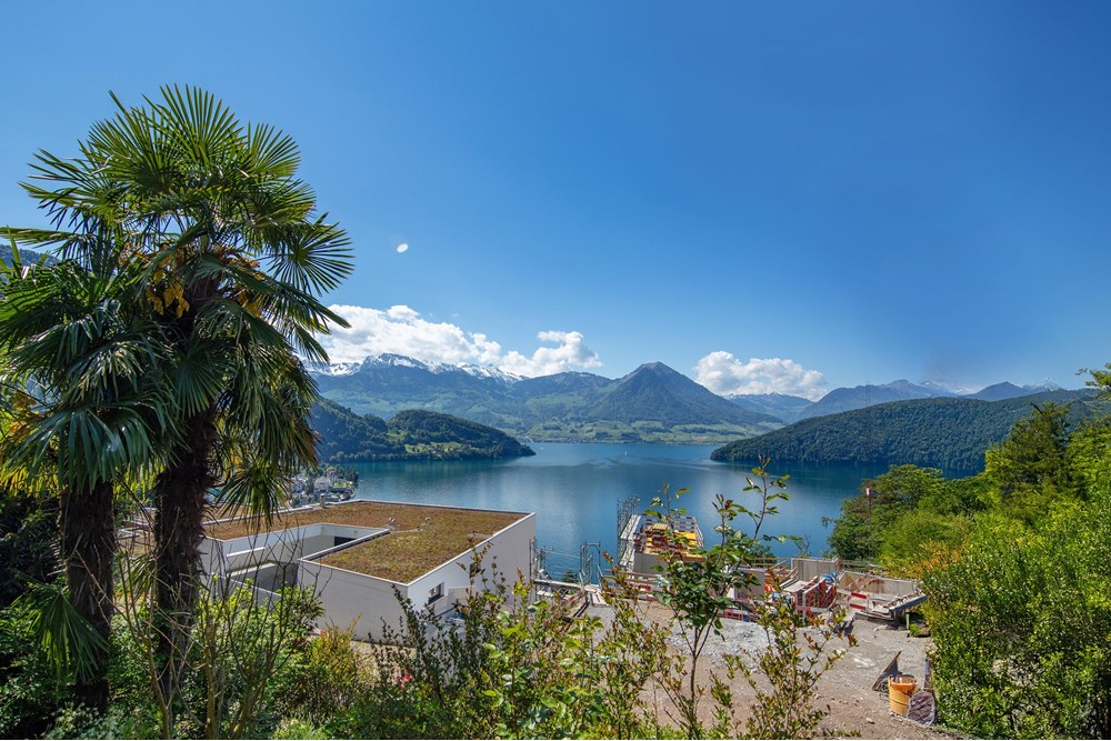 Villa - Kauf - Vitznau, Luzern - 253A6642a.jpg - 119871001-102