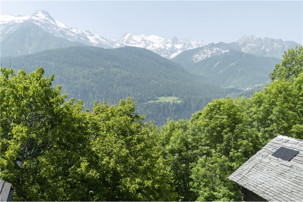 Prédio Habitacional - Casa - Campello, Tessin - CH - 22 - 118461007-445