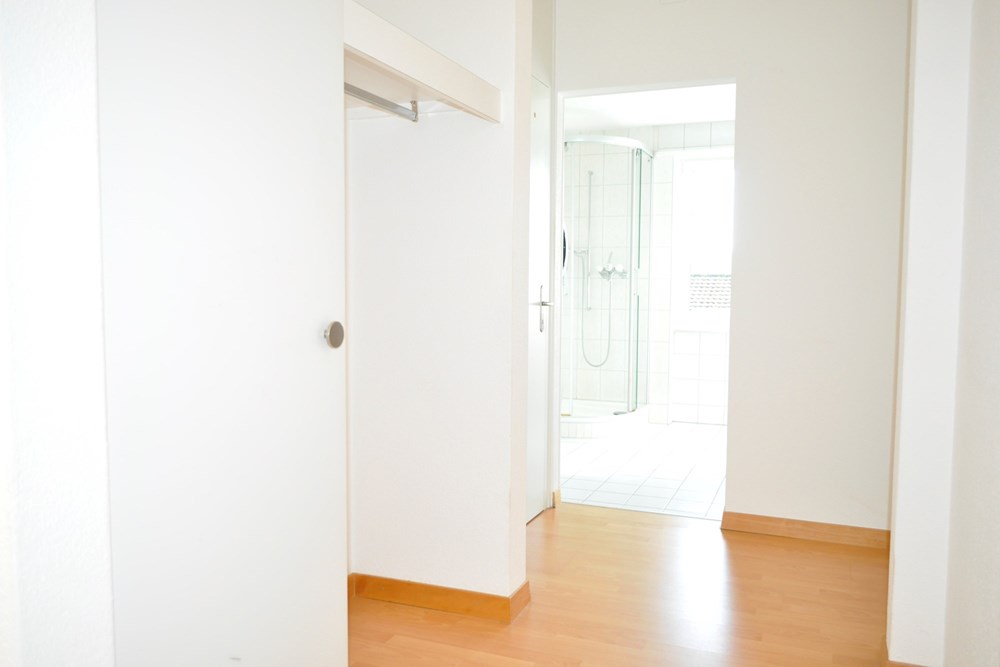 Wohnung - Kauf - Biel/Bienne, Bern - _DSC1769.JPG - 111221001-11