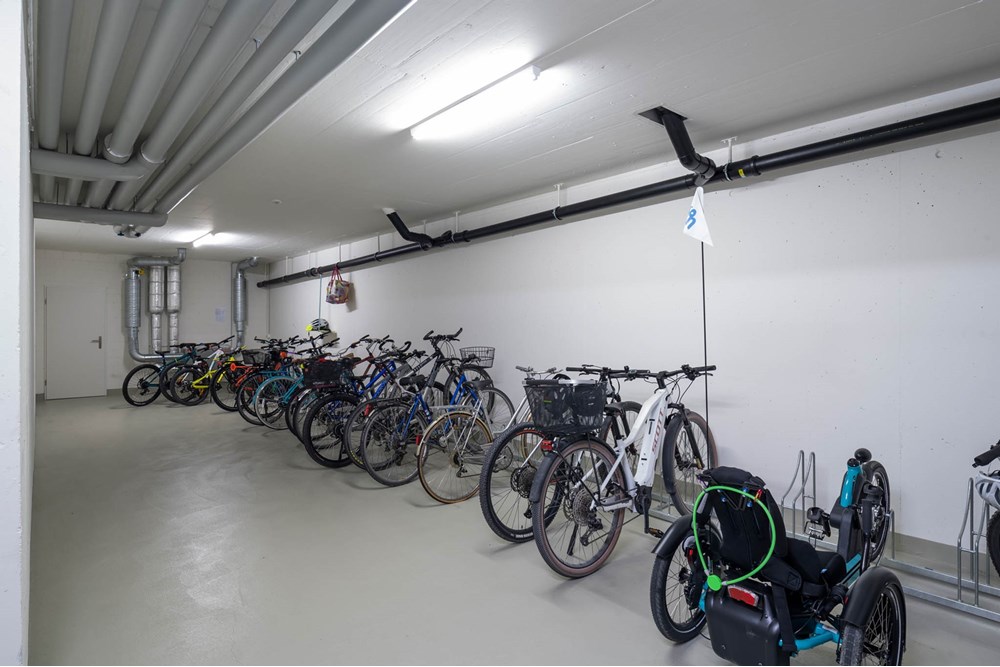 Wohnung - Kauf - Lachen, Schwyz - 038 - Auhof 7, 8853 Lachen (Daniel Blake Fotografie).jpg - 118471013-206