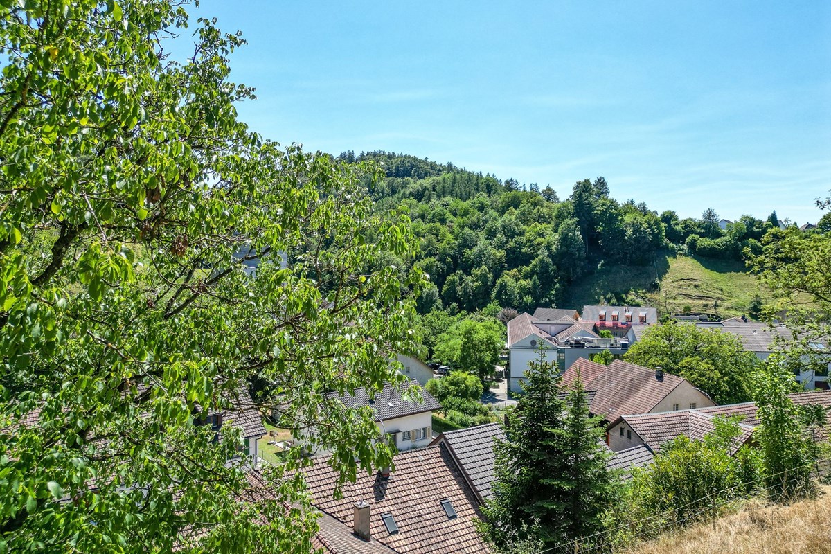 Einfamilienhaus - Kauf - Würenlingen, Aargau - DJI_0159.jpg - 115360017-89
