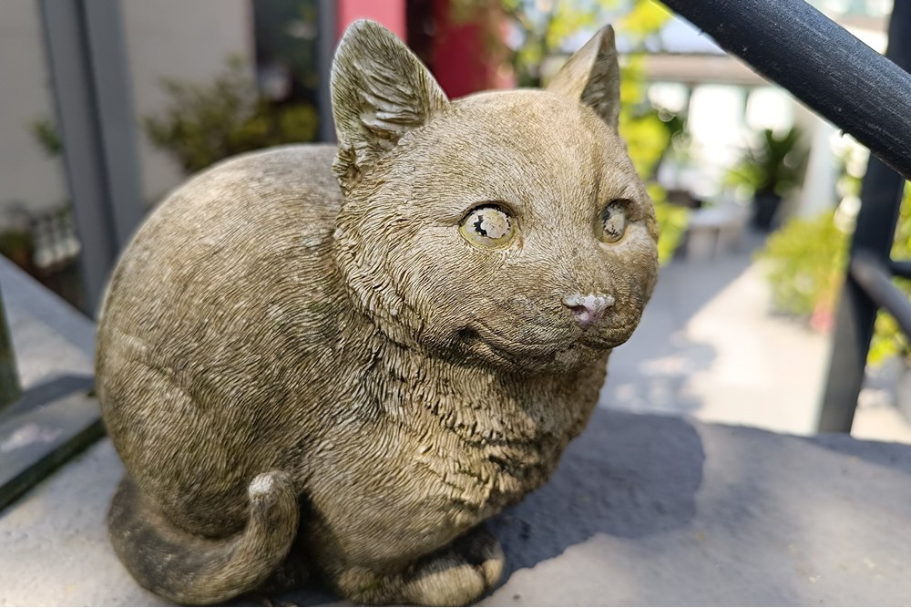 Wohnung - Haus - Lugano, Tessin - CH - 1721636695940.jpg - 119001050-301