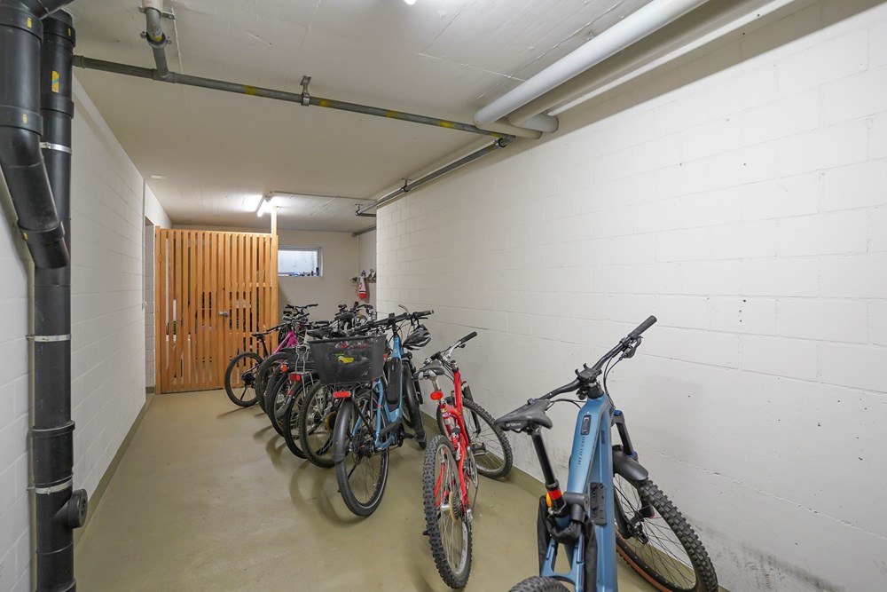 Wohnung - Kauf - Galmiz, Freiburg - DSC06453.jpg - 119621006-330