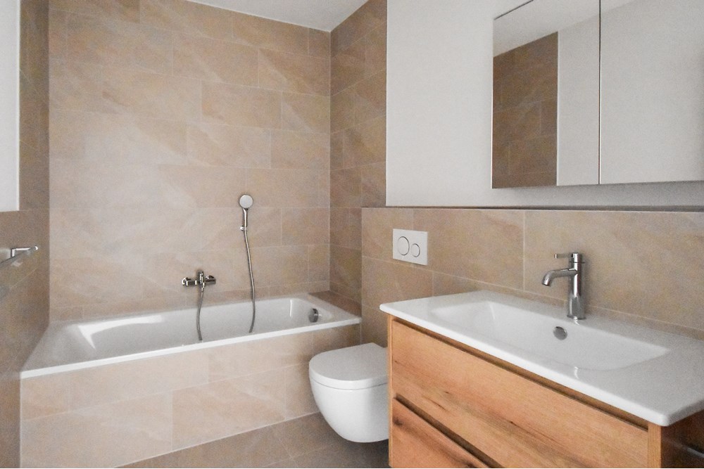 Wohnung - Kauf - Mettau, Aargau - Mettau Terrassenhaus_ausgebaut H4 (3).jpg - 115360003-538