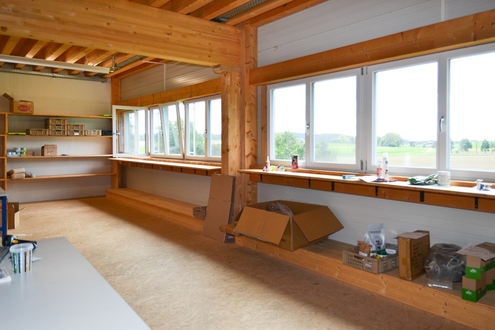 Geschäftshaus - Kauf - Niederbipp, Bern - DSC_0042-2.jpg - 110031036-82