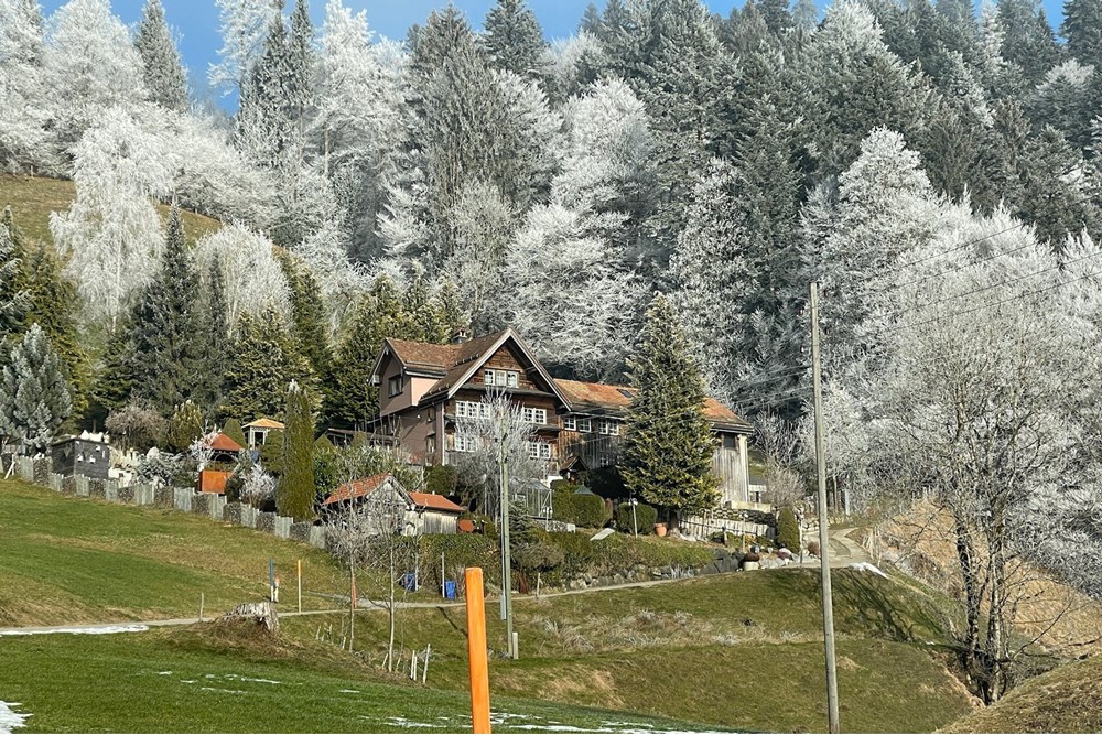 Chalet - Kauf - Dicken bei Degersheim, St. Gallen - IMG_1485.jpeg - 119901001-78