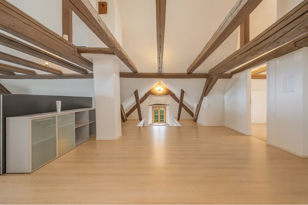 Residential - House - Eggenwil, Aargau - CH - HOFORSTRASSE-28.jpg - 118921009-359