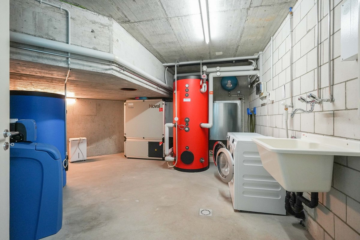 Einfamilienhaus - Kauf - Mumpf, Aargau - mumpf-rheinstrasse13-efh-zukaufen-remaxfrick (2 von 65).jpg - 110091020-159