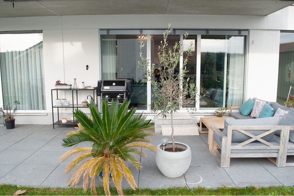 Wohnung - Kauf - Sutz, Bern - _DSC1724.jpg - 111221001-9