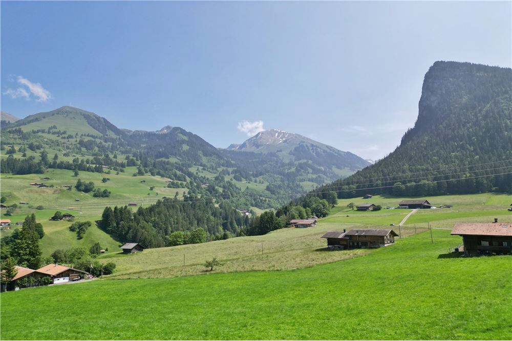 Mehrfamilienhaus - Kauf - Horboden, Bern - 42 - 119121019-416
