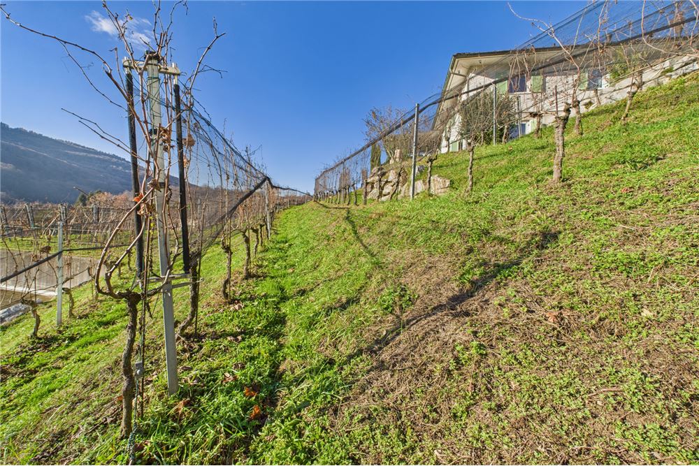 Prédio Habitacional - Casa - Ponte Cremenaga, Tessin - CH - 45 - 119001050-308