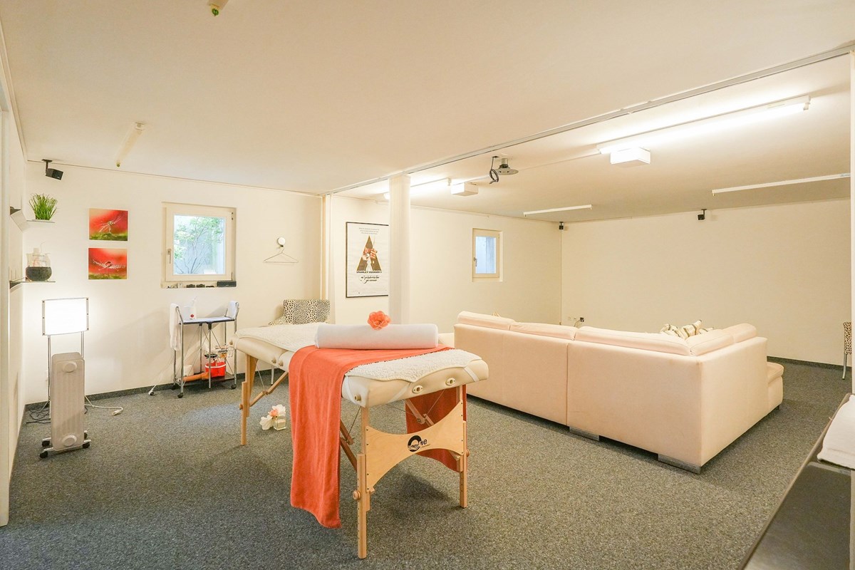 Einfamilienhaus - Kauf - Mumpf, Aargau - mumpf-rheinstrasse13-efh-zukaufen-remaxfrick (7 von 65).jpg - 110091020-159