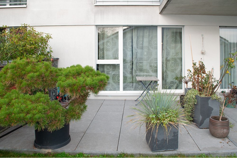 Wohnung - Kauf - Sutz, Bern - _DSC1716.jpg - 111221001-9