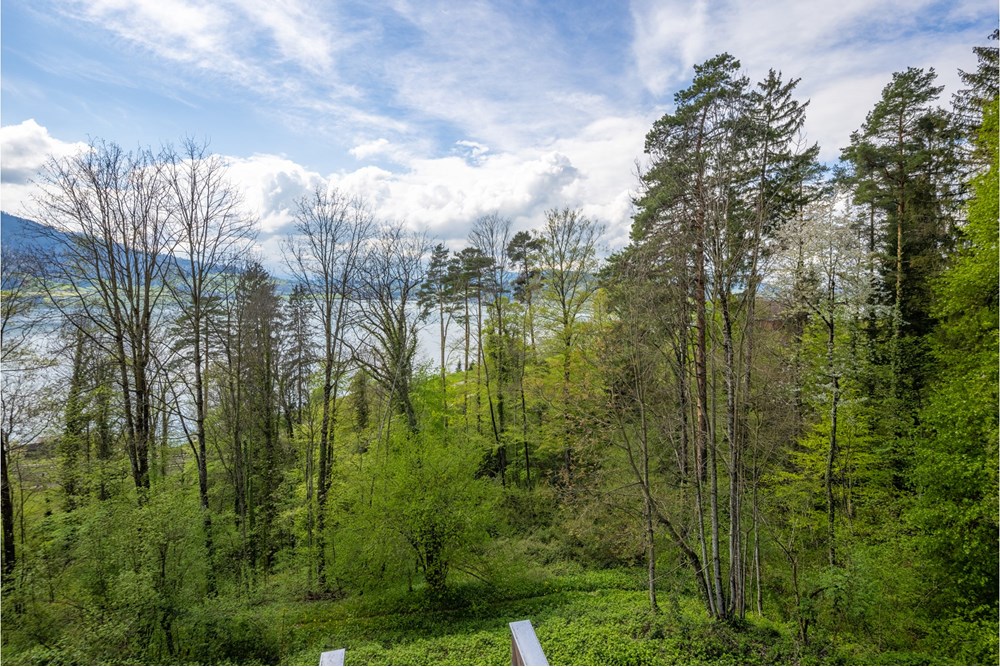 Wohnung - Kauf - Walchwil, Zug - Web_Sagenstrasse 41, 6318 Walchwil_49_klein.jpg - 119961001-159