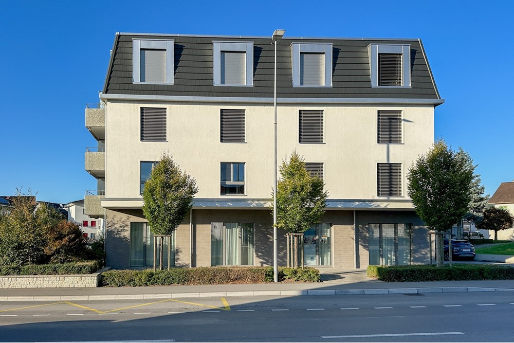 Gemischte Immobilie - Kauf - Grosswangen, Luzern - IMG_2676.JPG - 118181057-169