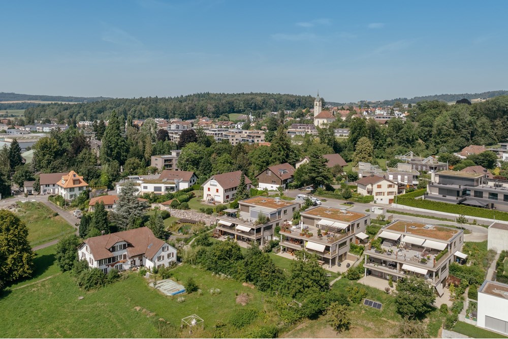 Residential - Condo/Apartment - Meisterschwanden, Aargau - CH - DJI_0514.jpg - 118921016-184