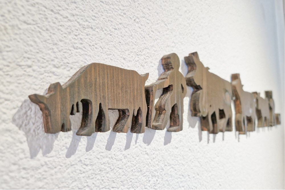 Attikawohnung - Kauf - Speicherschwendi, Appenzell Ausserrhoden - 20251128_114925_inPixio (2).jpg - 118801063-35