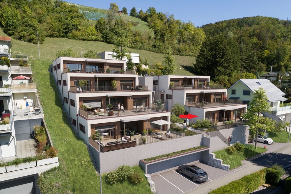 Wohnung - Kauf - Mettau, Aargau - Visualisierung mit Pfeil.jpg - 115360003-538