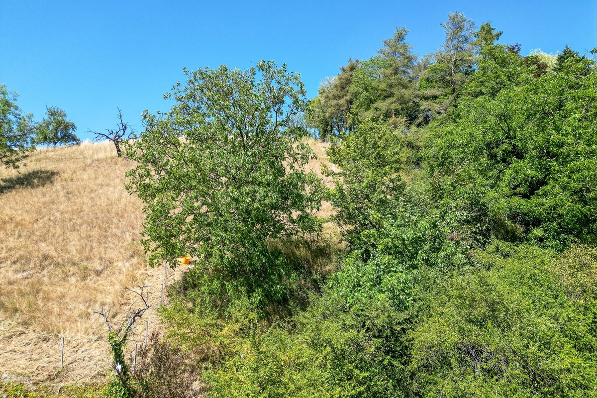 Einfamilienhaus - Kauf - Würenlingen, Aargau - DJI_0157.jpg - 115360017-89
