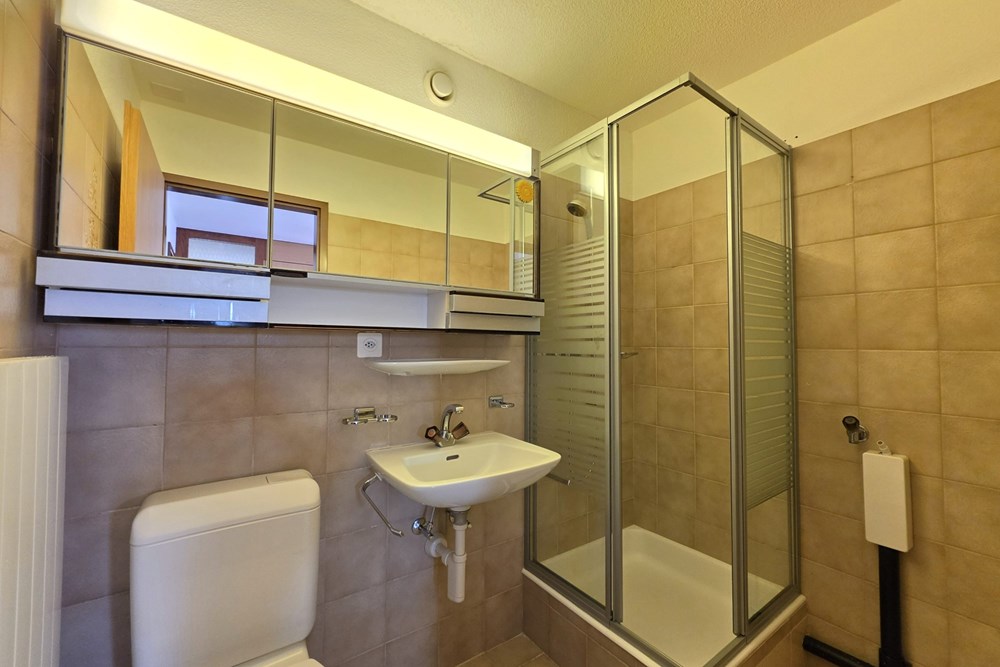 Wohnung - Kauf - Susten, Wallis - 5.5 Zi-Duplexwohnung in Susten_DU-WC.jpg - 119101007-732