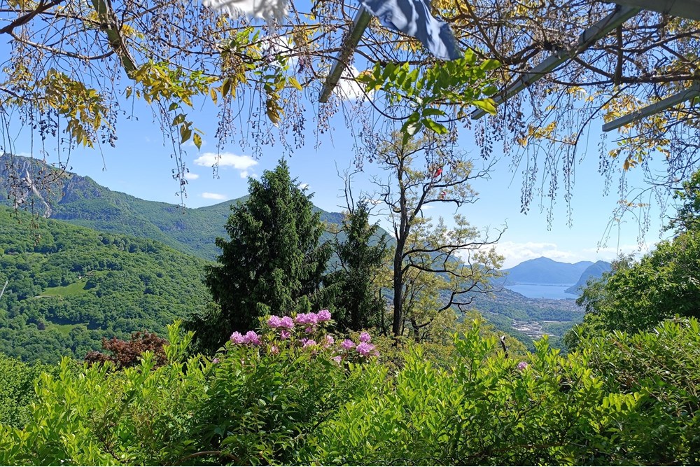 Einfamilienhaus - Kauf - Roveredo, Tessin - IMG_20250523_145011.jpg - 119001050-293