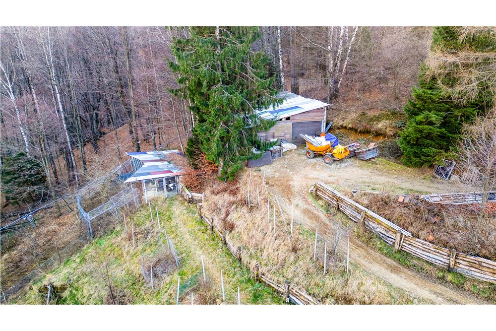 Landhaus - Kauf - Cimadera, Tessin - 17 - 119881007-1