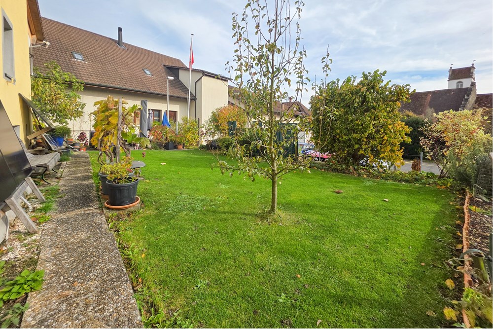 Einfamilienhaus - Kauf - Schinznach Dorf, Aargau - 20251029_134945.JPG - 119241016-289