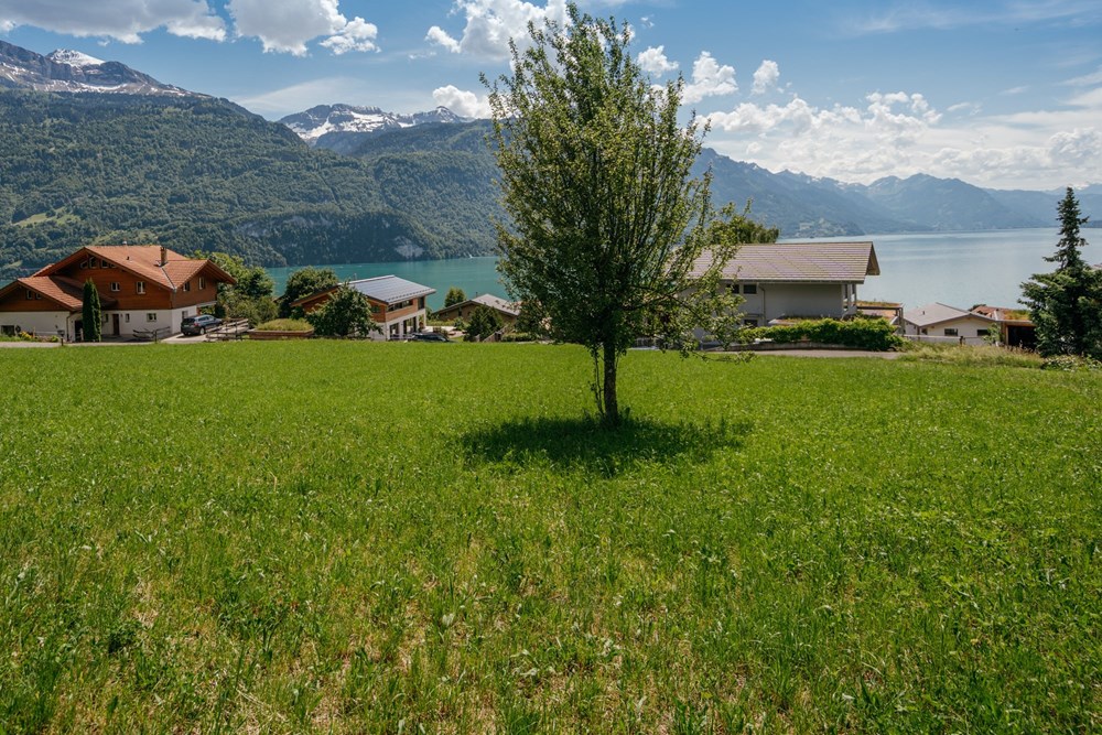 Bauland - Kauf - Brienz BE, Bern - AIV04372.jpg - 111211001-112