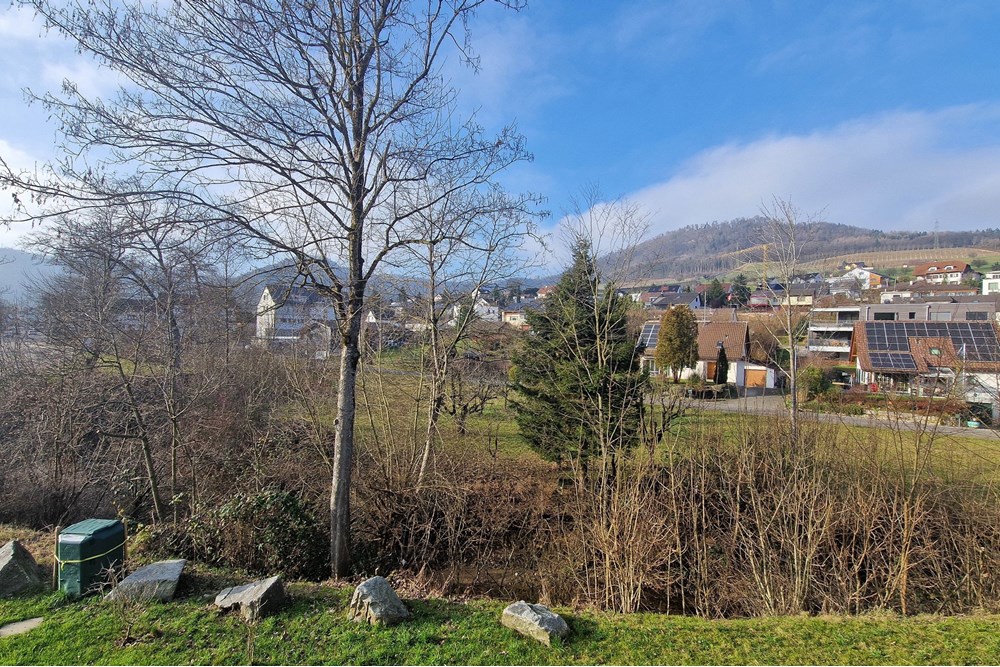 Wohnung - Vermietung - Wittnau, Aargau - Wittnau-Hauptstrasse 2a-3.5 Zimmer-zu mieten-REMAX Frick (10 von 21).jpg - 110091023-66