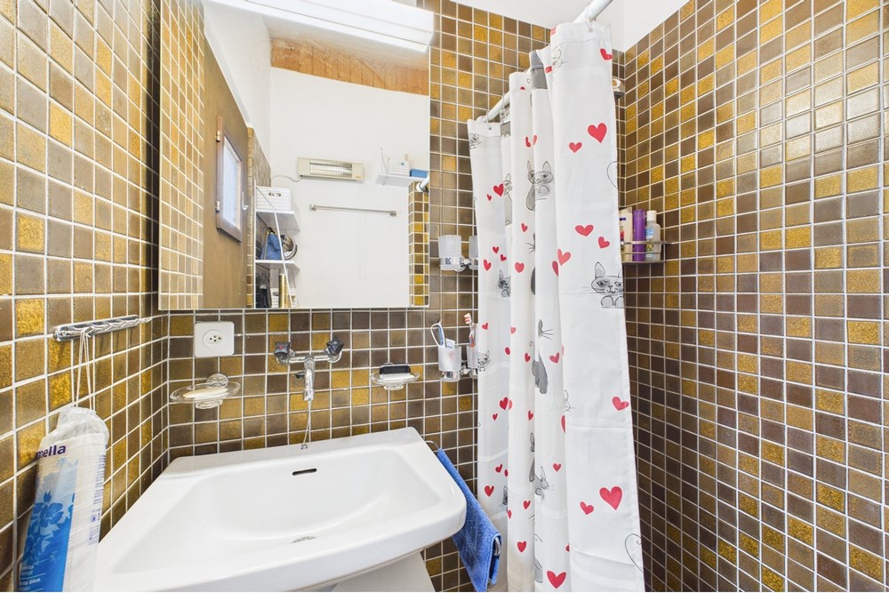 Einfamilienhaus - Kauf - Roveredo, Tessin - CAM02262G0-PR0517-STILL018.jpg - 119001050-293