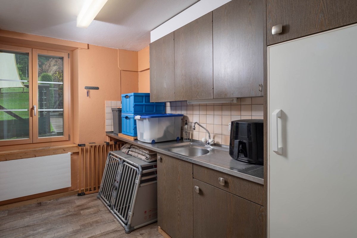 Einfamilienhaus - Kauf - Saland, Zürich - 025 - Undelstrasse 50, 8493 Bauma Saland(Daniel Blake Fotografie).jpg - 110460007-1348