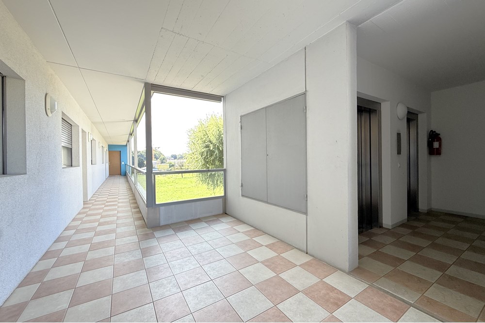 Wohnung - Kauf - Stabio, Tessin - IMG_2943_.jpeg - 110410011-40