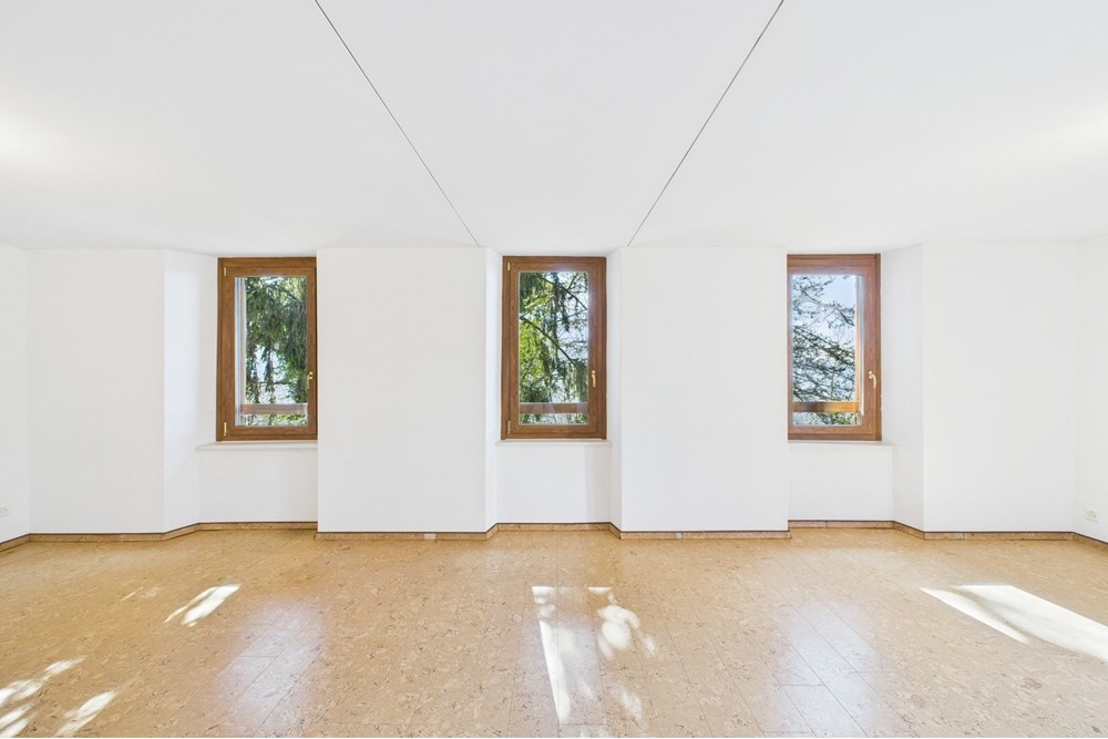 Einfamilienhaus - Kauf - Bidogno, Tessin - CAM02262G0-PR0455-STILL013.jpg - 119001097-12