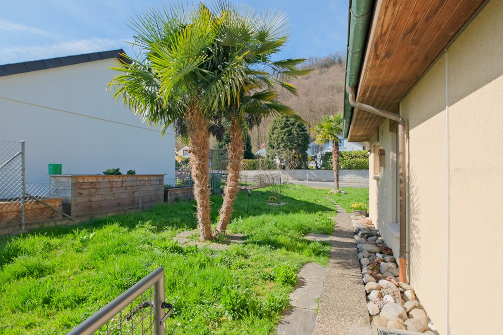 Einfamilienhaus - Kauf - Brugg AG, Aargau - DSCF8912.jpg - 115360020-22