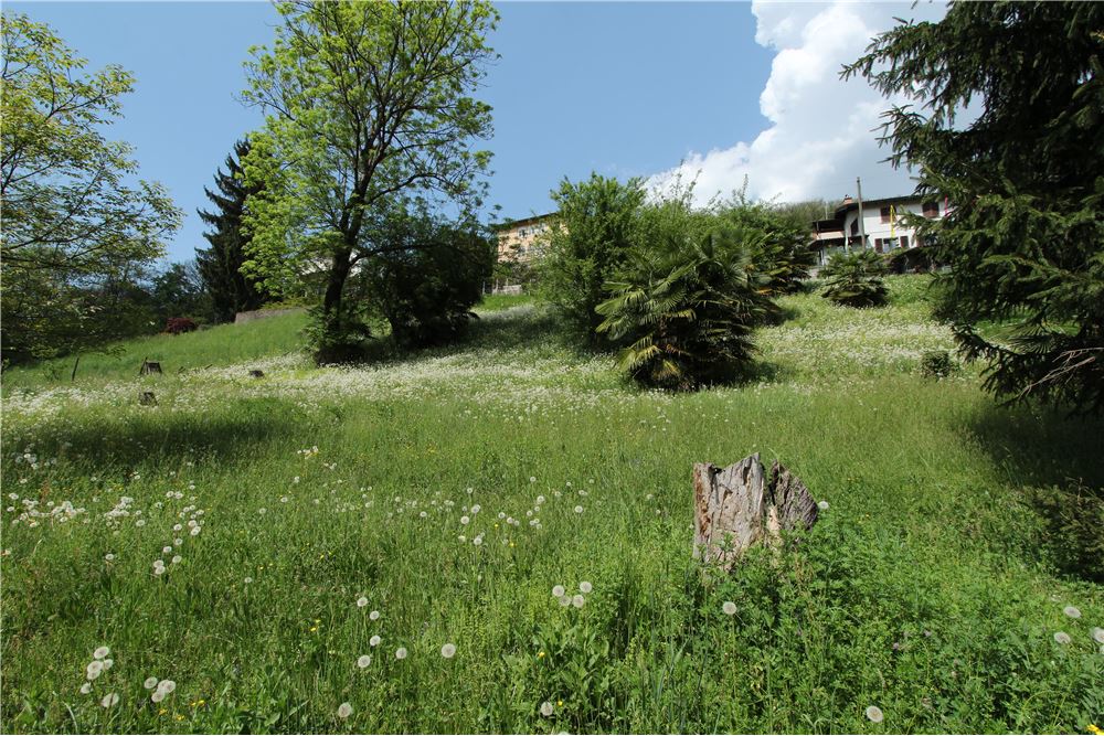 Residencial - Terreno Edificable - Ponte Cremenaga, Tessin - CH - 34 - 119001001-2879