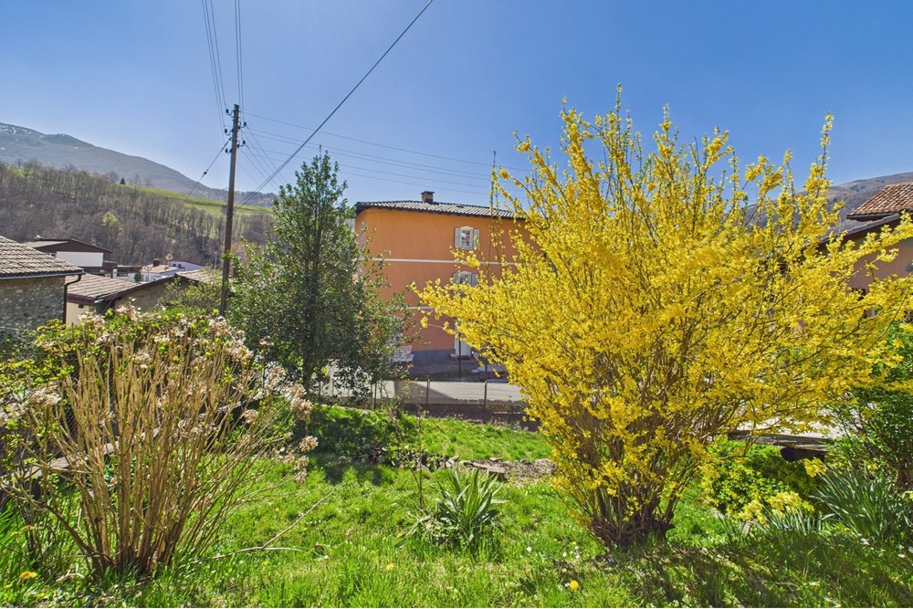 Wohnung - Haus - Bogno, Tessin - CH - 26. Giardino 6.jpg - 119001097-13