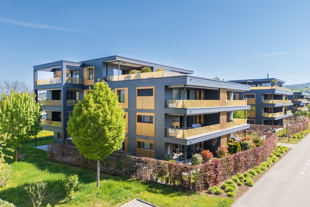 Gartenwohnung - Kauf - Holziken, Aargau - DJI_20260423110110_0111_D-Edit.jpg - 119841016-6