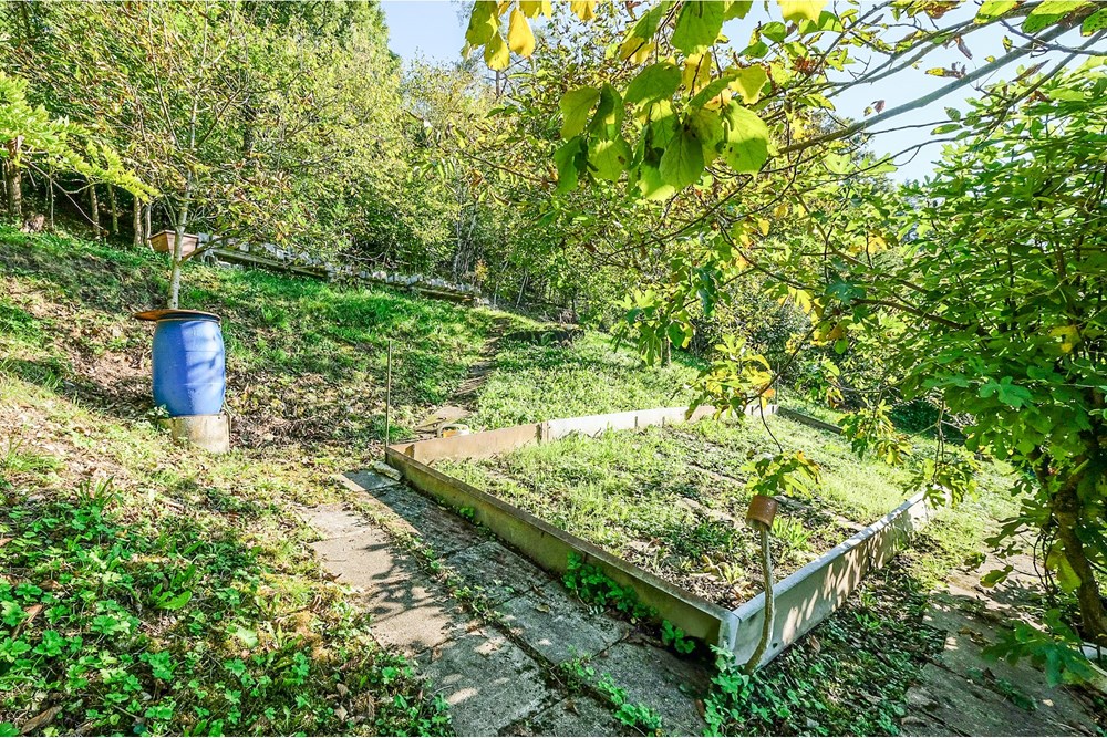 Einfamilienhaus - Kauf - Schwaderloch, Aargau - Garten.jpg - 115360017-85