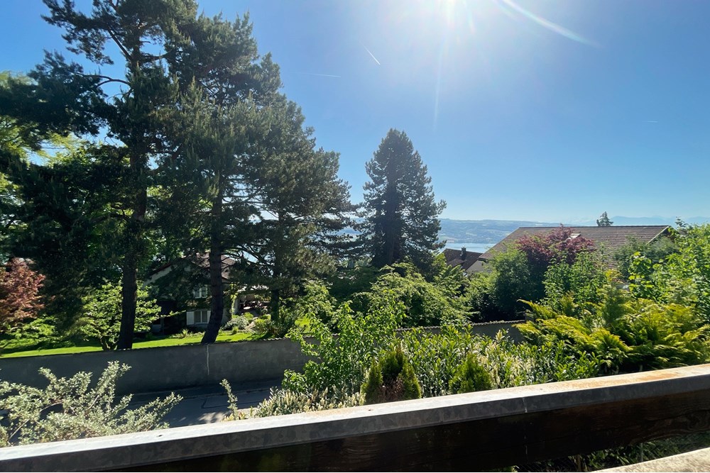 Terrassenhaus - Kauf - Beinwil am See, Aargau - IMG_5934.JPG - 110050029-179