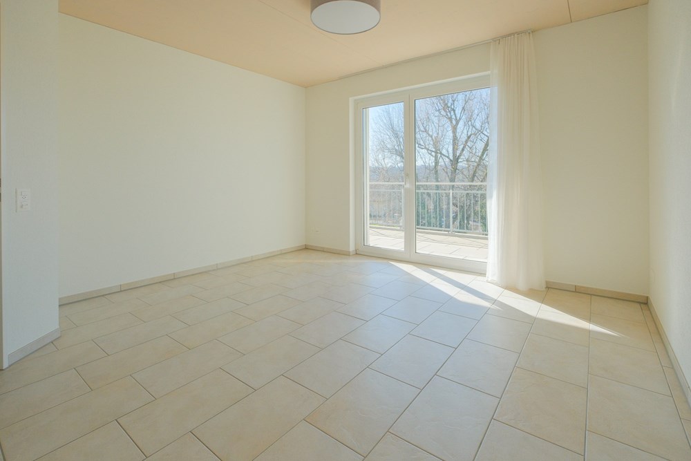 Attikawohnung - Kauf - Windisch, Aargau - Attika zu verkaufen Windisch Spitzmatt remax brugg (3).jpg - 115360003-547